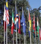 Flags