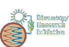 Visit the Bioenergy Research Initiative website